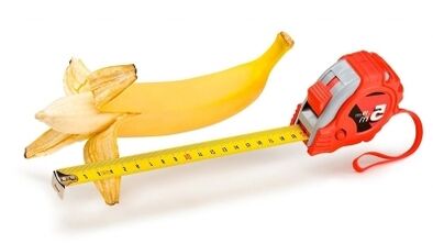 A pénisz normál mérete 13-17 cm